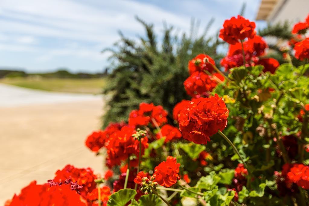 Cottages For Couples Port Fairy Dış mekan fotoğraf